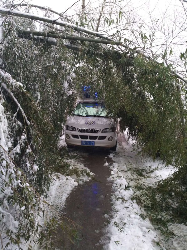 抗雪减灾1.jpg